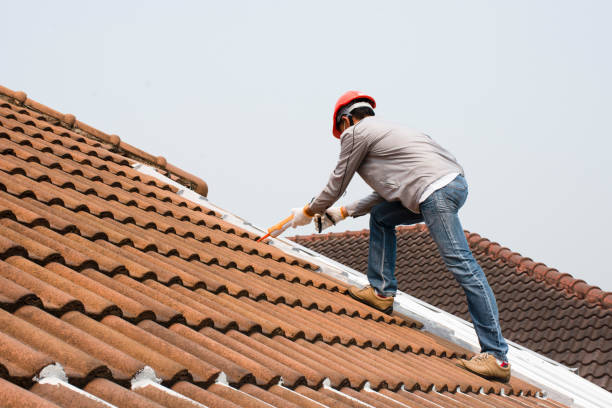 Best Roof Moss and Algae Removal  in Fairbanks Ranch, CA